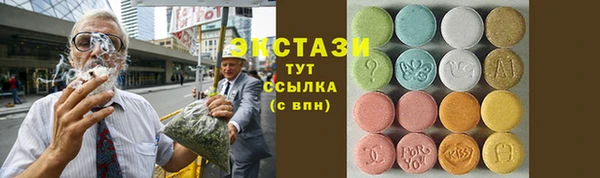 СК Алексин