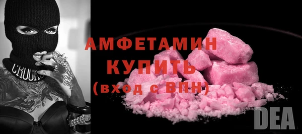 СК Алексин