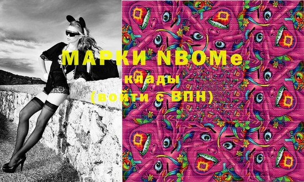 гидропоника Алзамай