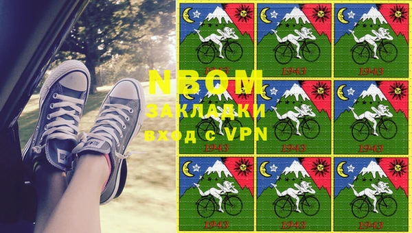 гидропоника Алзамай