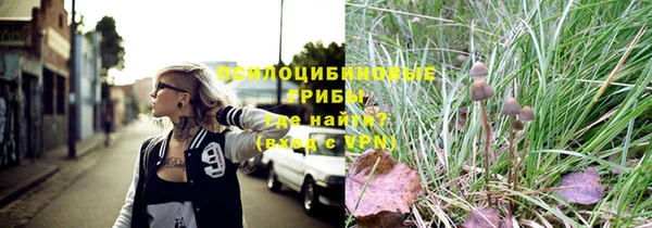 СК Алексин