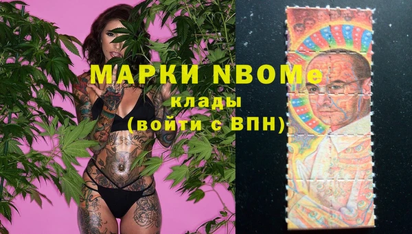 гидропоника Алзамай