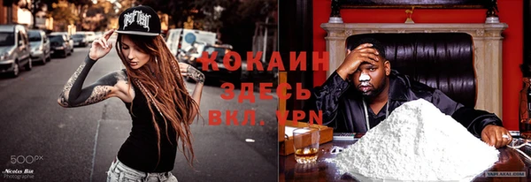 СК Алексин