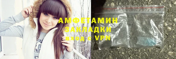 СК Алексин