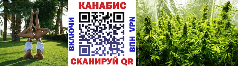 Шишки марихуана Amnesia  Купить закладки  Сусуман 
